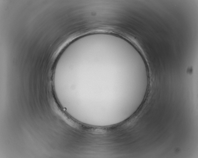 X0000113121235200908281034