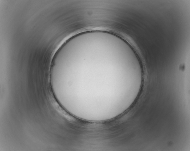 X0000113121236200908281034