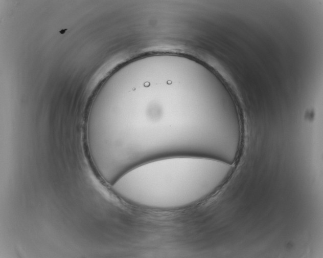 X0000113121237200908281034