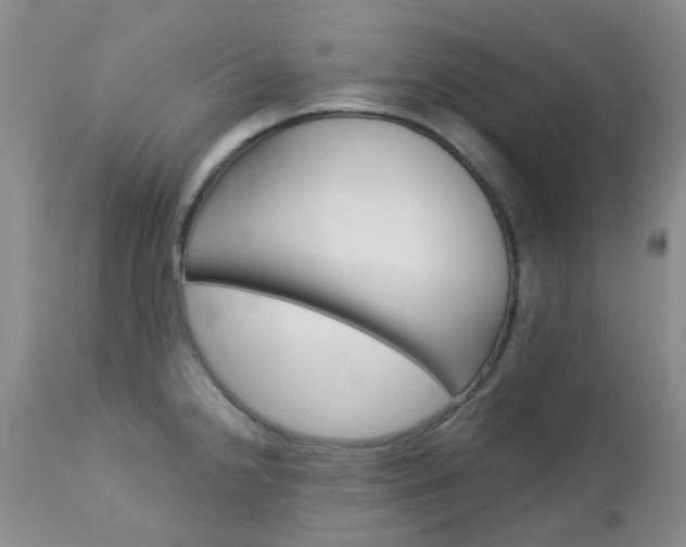 X0000113121238200908281034