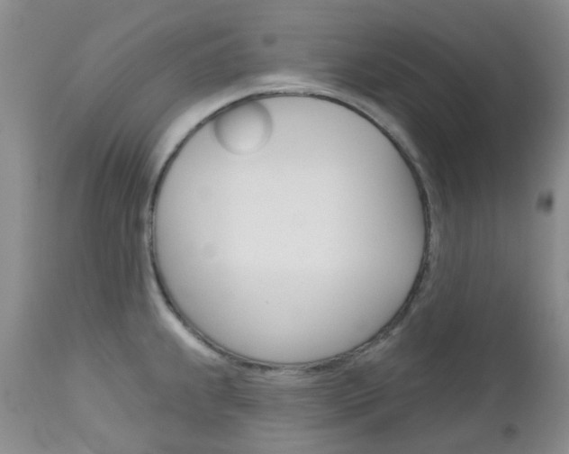 X0000113121239200908281034