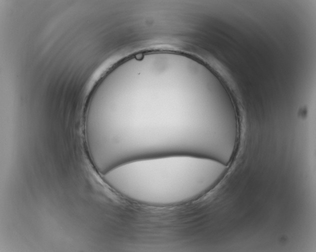 X0000113121240200908281034