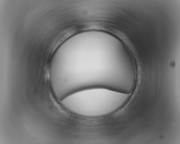 X0000113121241200908281034