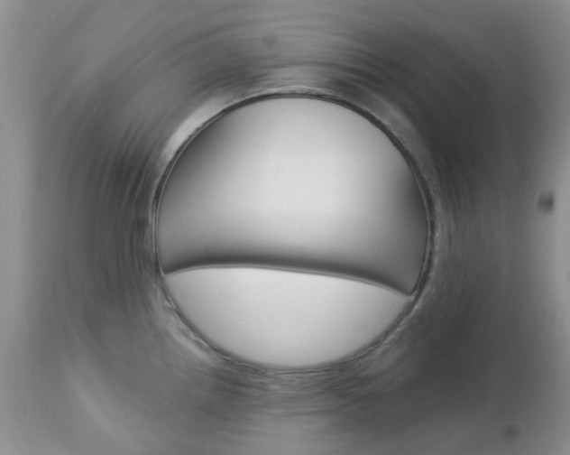 X0000113121242200908281034