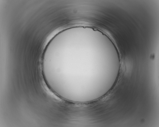 X0000113121243200908281035