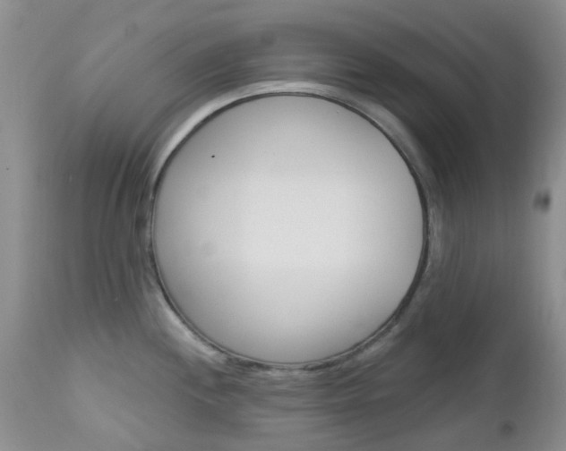 X0000113121244200908281035