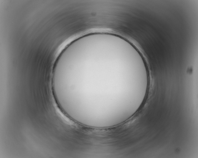 X0000113121245200908281035