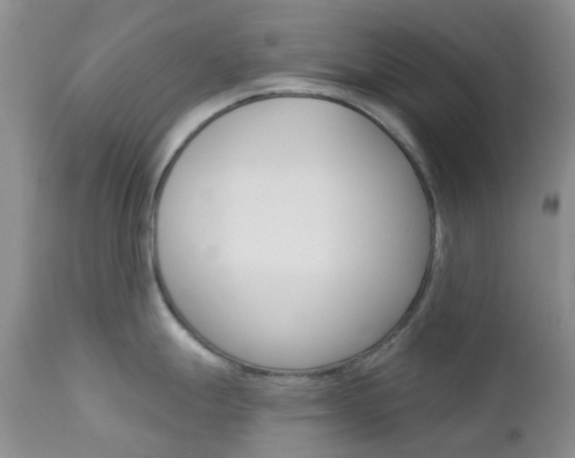 X0000113121247200908281035