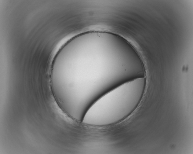 X0000113121248200908281035