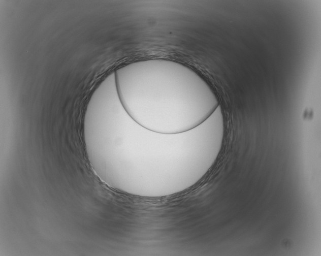 X0000113121249200908281034