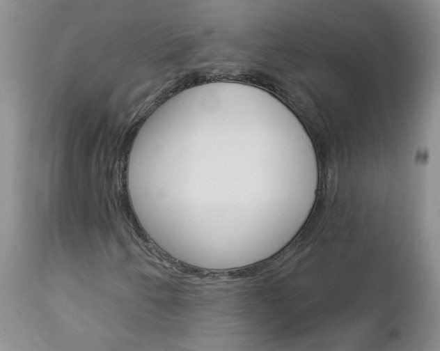 X0000113121250200908281034