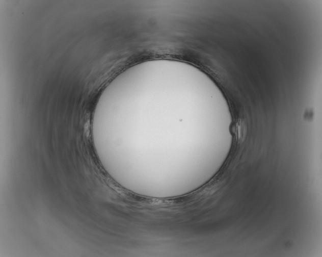 X0000113121251200908281034