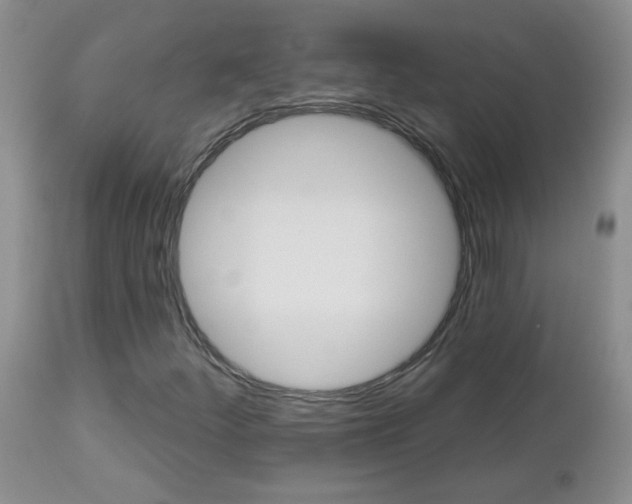X0000113121252200908281034