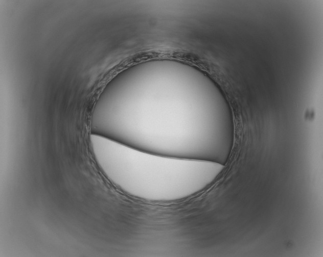 X0000113121253200908281034