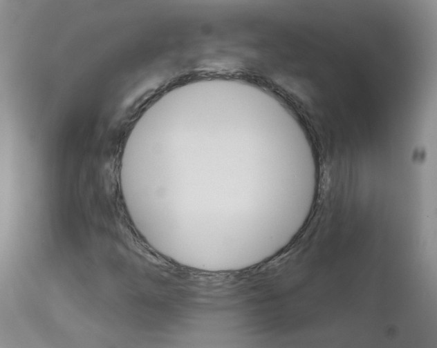 X0000113121254200908281034