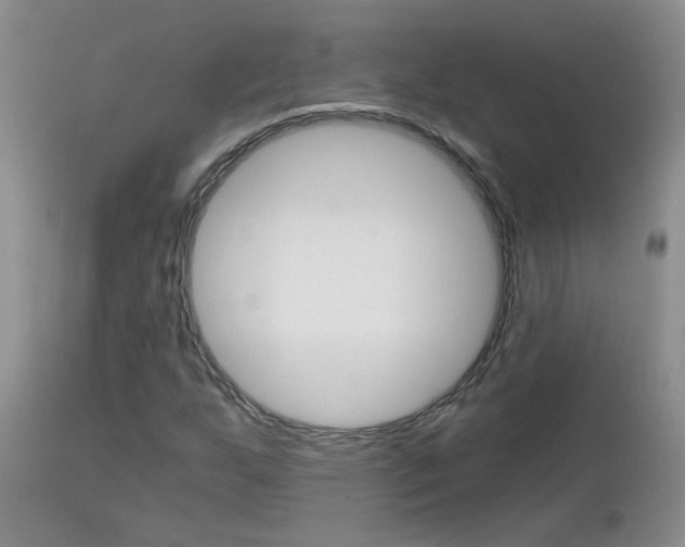 X0000113121255200908281034