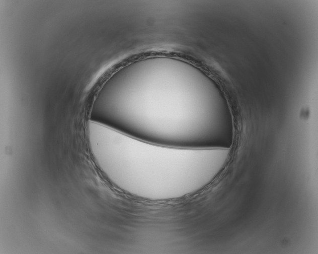 X0000113121256200908281034