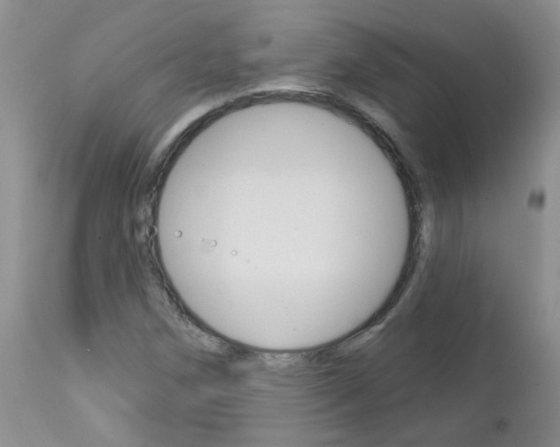 X0000113121258200908281034