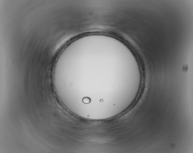 X0000113121259200908281034