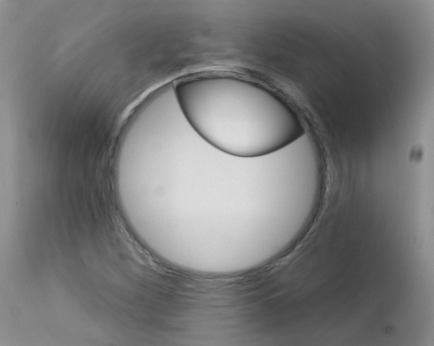 X0000113121260200908281034