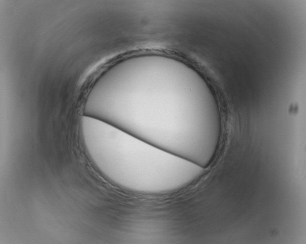 X0000113121262200908281034