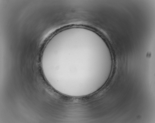 X0000113121263200908281034