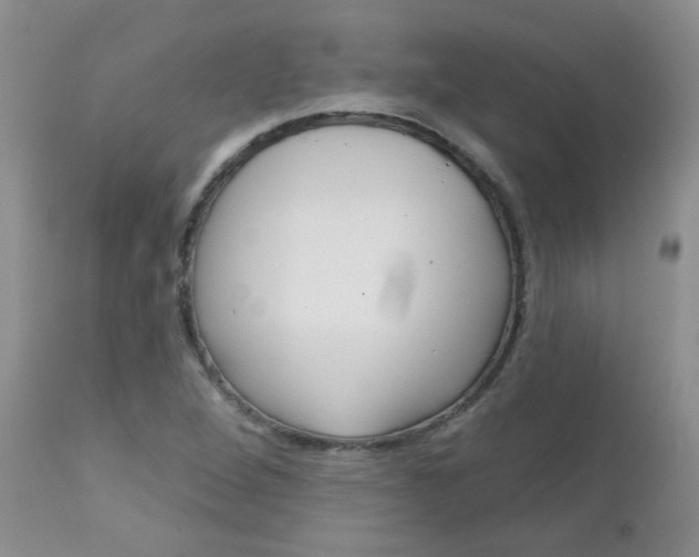X0000113121264200908281034