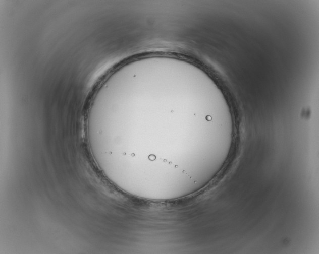 X0000113121267200908281034