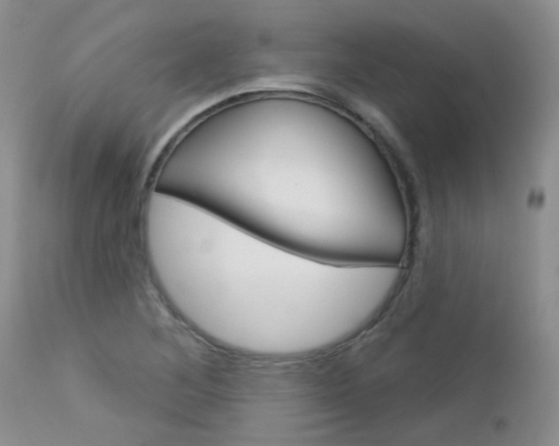 X0000113121268200908281033