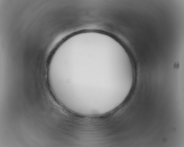 X0000113121270200908281033