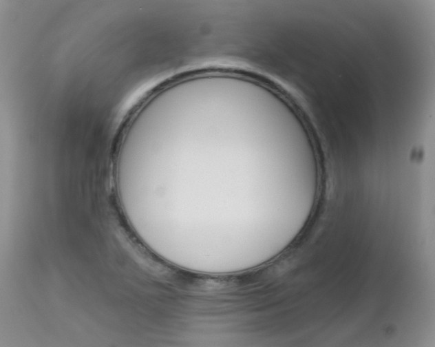 X0000113121271200908281033