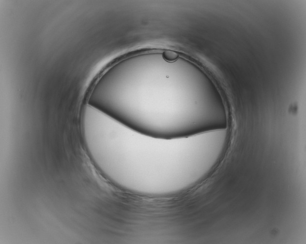 X0000113121272200908281033
