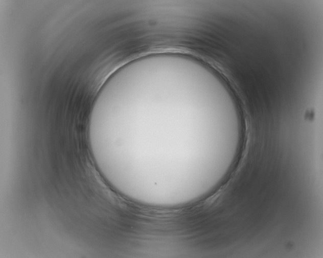 X0000113121273200908281033