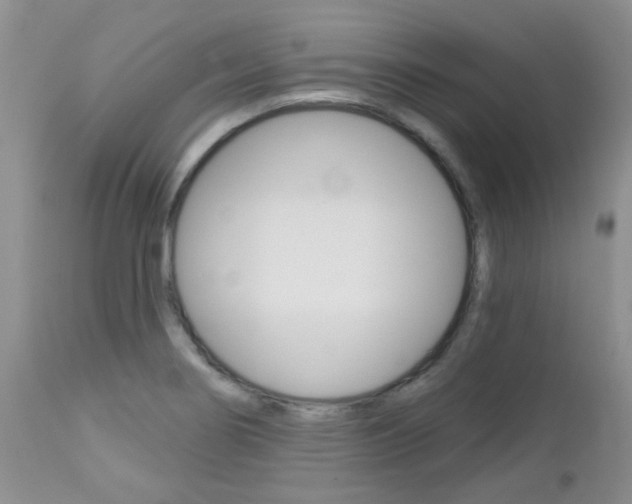 X0000113121274200908281033