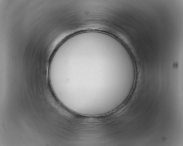 X0000113121275200908281033