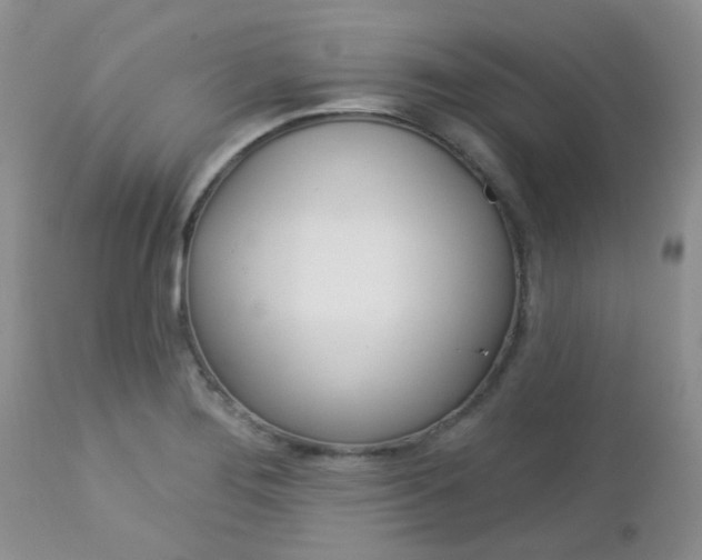 X0000113121276200908281033