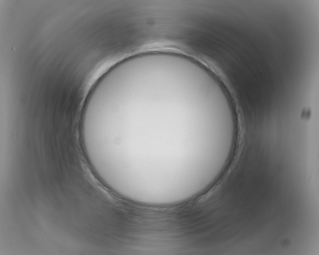 X0000113121277200908281033