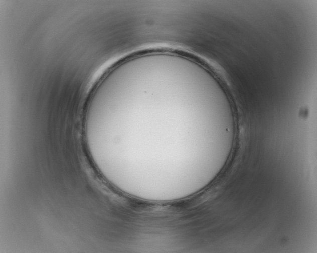 X0000113121279200908281033