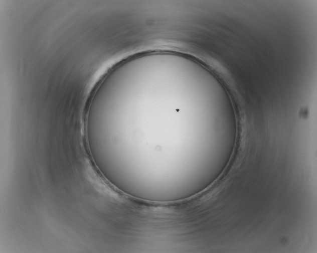 X0000113121280200908281033
