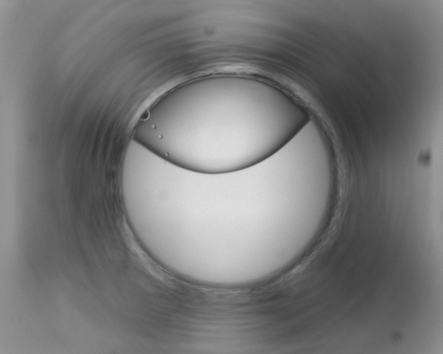 X0000113121281200908281033