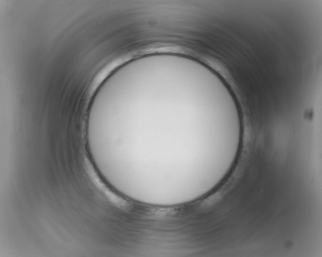 X0000113121282200908281033