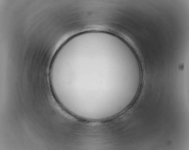 X0000113121283200908281033