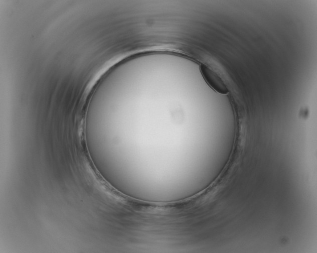 X0000113121284200908281033