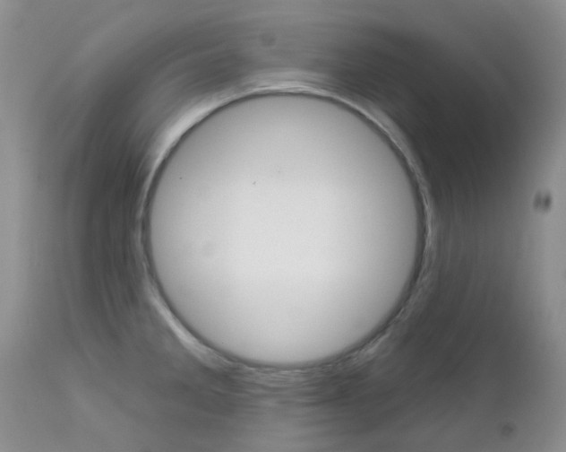 X0000113121285200908281033