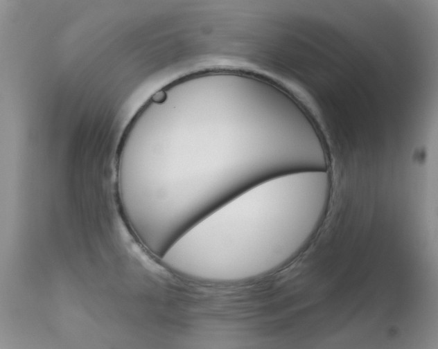 X0000113121287200908281033