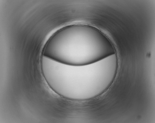 X0000113121288200908281033