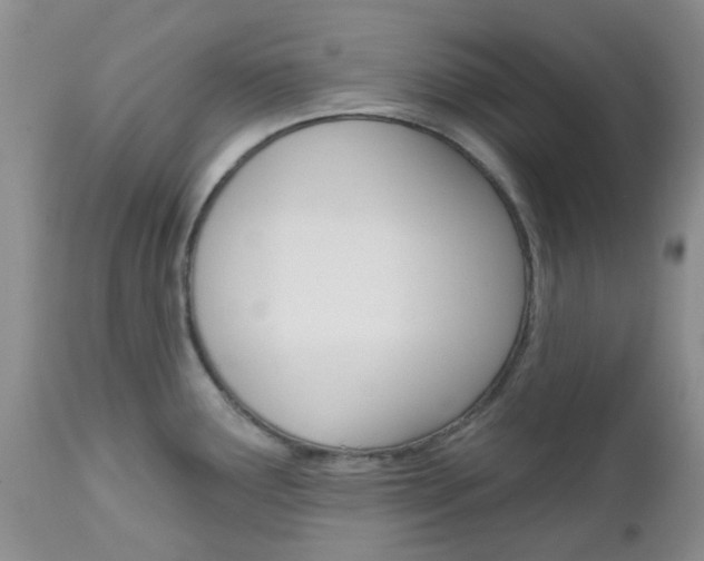 X0000113121291200908281033