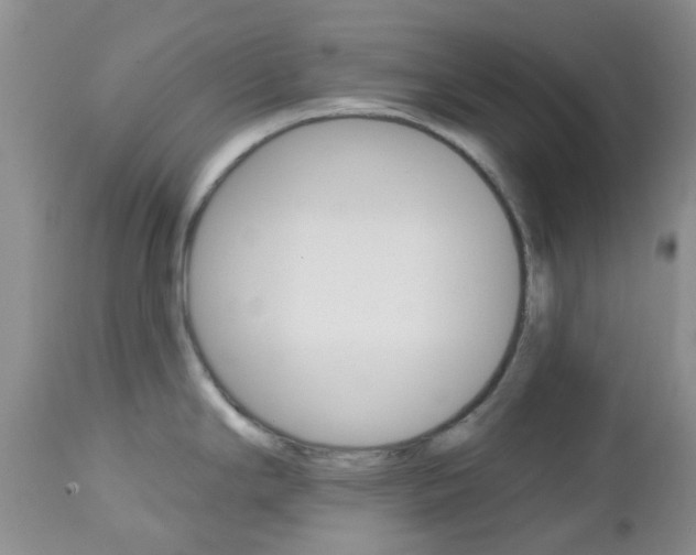X0000113121294200908281033