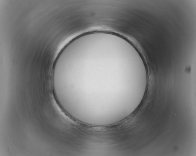 X0000113121295200908281033
