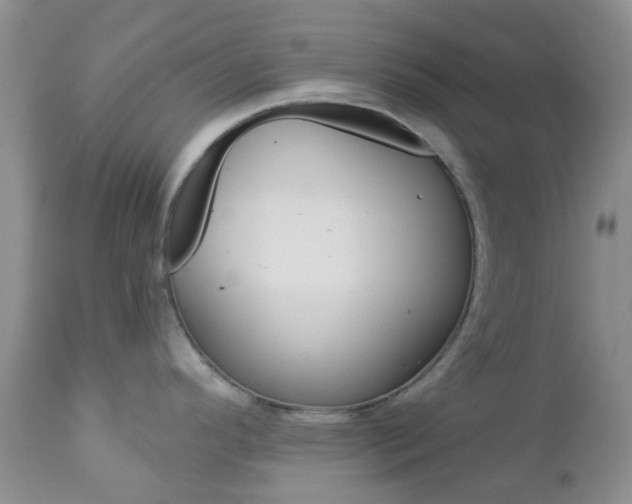 X0000113121296200908281033
